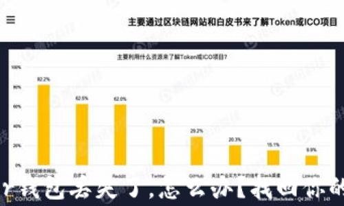 
如果你的Ledger钱包丢失了，怎么办？找回你的加密资产之路！