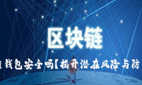 区块链钱包安全吗？揭开潜在风险与防范技巧