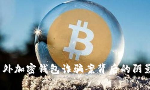 警惕！国外加密钱包诈骗案背后的阴影与真相