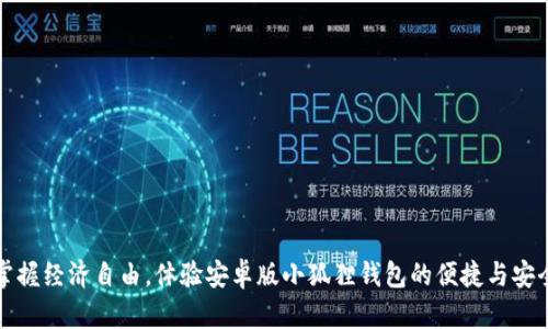 掌握经济自由，体验安卓版小狐狸钱包的便捷与安全
