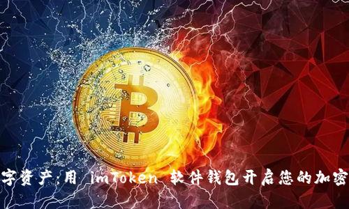 : 掌握数字资产:用 imToken 软件钱包开启您的加密货币之旅