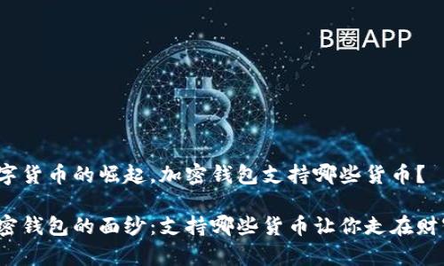 随着数字货币的崛起，加密钱包支持哪些货币？

揭开加密钱包的面纱：支持哪些货币让你走在财富前沿？