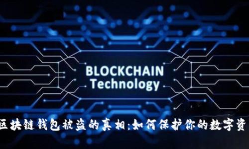 区块链钱包被盗的真相:如何保护你的数字资产