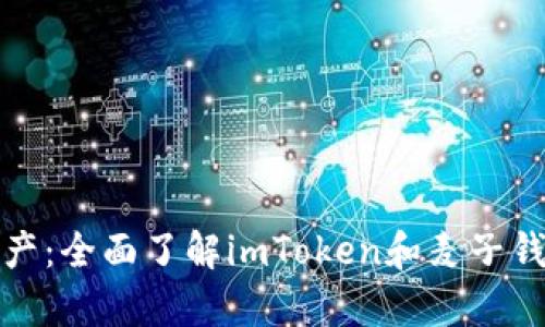 轻松管理数字资产：全面了解imToken和麦子钱包的优势与差异
