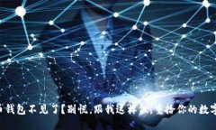 虚拟币钱包不见了？别慌