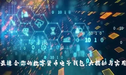 选择最适合你的数字货币电子钱包：大揭秘与实用指南
