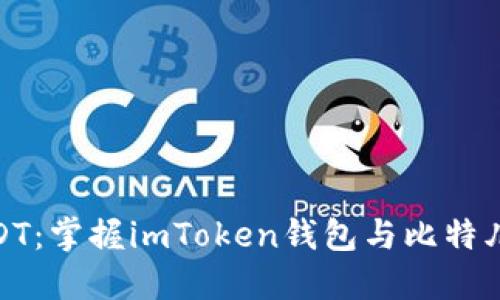 轻松提取USDT：掌握imToken钱包与比特儿的完美结合