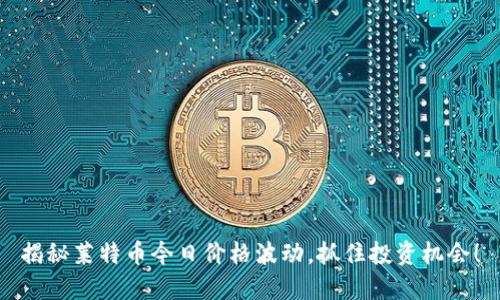 揭秘莱特币今日价格波动,抓住投资机会!