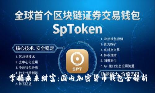 掌握未来财富:国内加密货币钱包全解析
