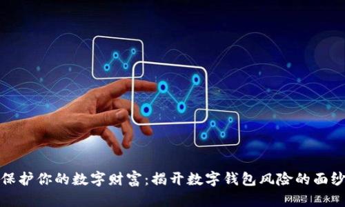 保护你的数字财富:揭开数字钱包风险的面纱