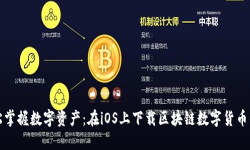 轻松掌握数字资产:在iOS上下载区块链数字货币钱包