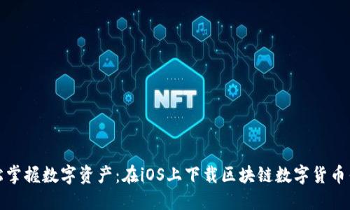 轻松掌握数字资产:在iOS上下载区块链数字货币钱包