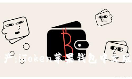 掌握数字资产：iToken苹果钱包中文版全方位指南