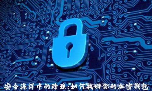 安全海洋中的珍珠:如何找回你的加密钱包