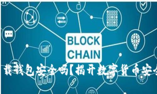 虚拟币app下载钱包安全吗？揭开数字货币安全的神秘面纱