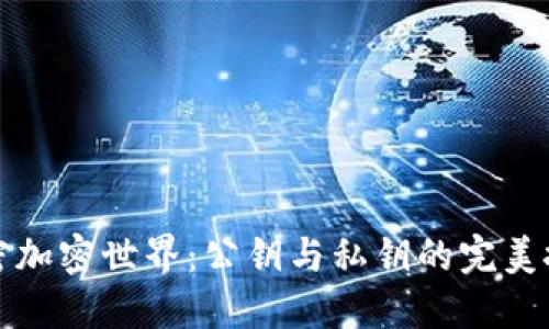 解密加密世界：公钥与私钥的完美搭档