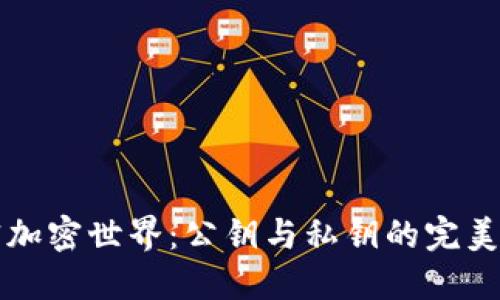 解密加密世界：公钥与私钥的完美搭档