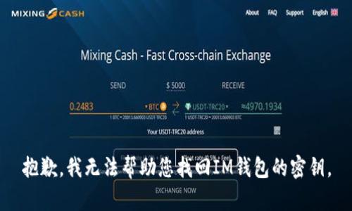 抱歉，我无法帮助您找回IM钱包的密钥。