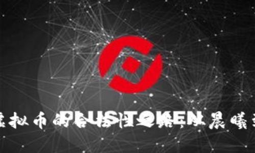 探寻虚拟币的合法性之路：从晨曦到深渊