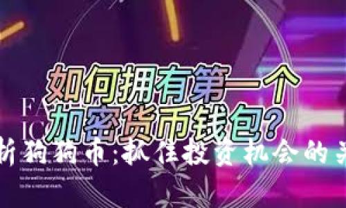 深入分析狗狗币:抓住投资机会的关键时刻