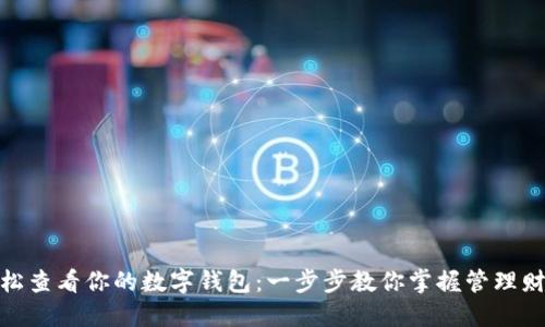 轻松查看你的数字钱包：一步步教你掌握管理财务