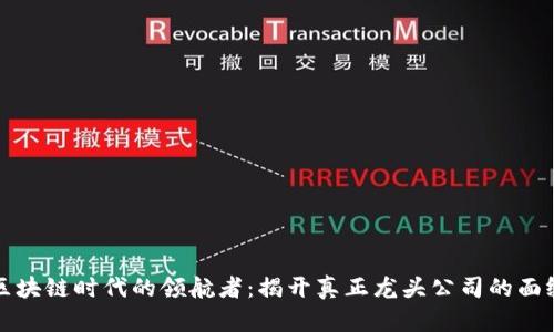 区块链时代的领航者：揭开真正龙头公司的面纱