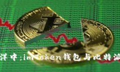 在数字货币的海洋中：i