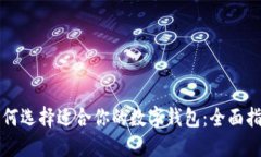 如何选择适合你的数字钱