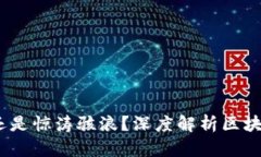 区块链钱包：安全港还是