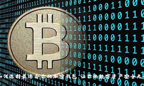 如何选择最适合你的加密钱包，让你的数字资产安全无忧