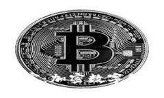 保护你的财富：加密数字