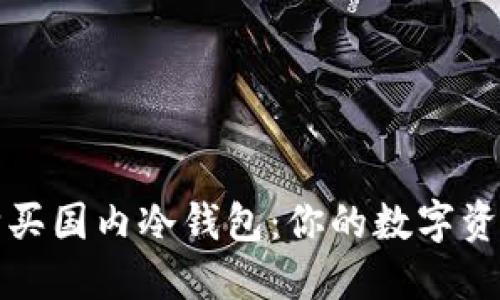 如何安全购买国内冷钱包：你的数字资产保护指南