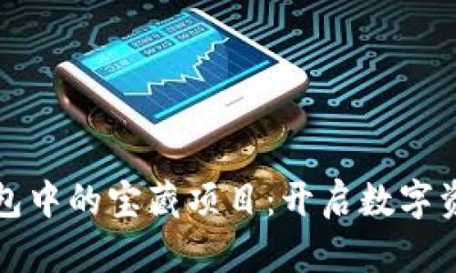 探索区块链钱包中的宝藏项目：开启数字资产的璀璨未来