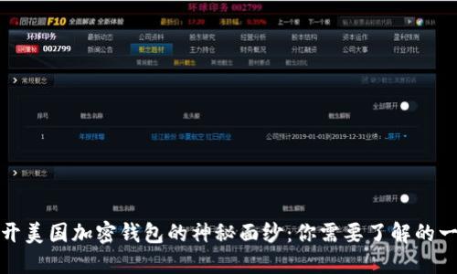 揭开美国加密钱包的神秘面纱：你需要了解的一切