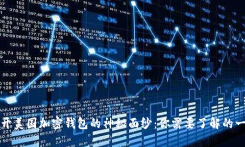 揭开美国加密钱包的神秘面纱：你需要了解的一切