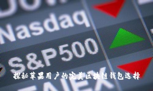 探秘苹果用户的完美区块链钱包选择
