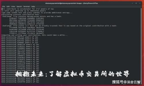 拥抱未来：了解虚拟币交易所的世界
