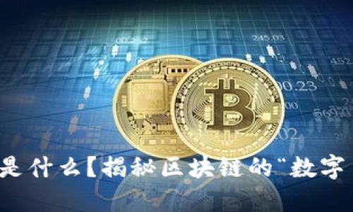 钱包是什么？揭秘区块链的“数字口袋”