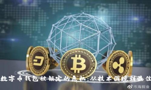 如何应对数字币钱包被锁定的危机：从技术困境到最佳解决方案