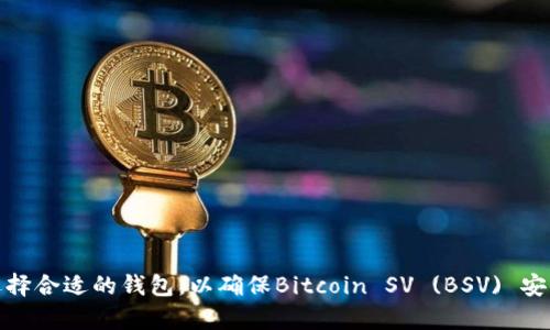 如何选择合适的钱包，以确保Bitcoin SV (BSV) 安全存储
