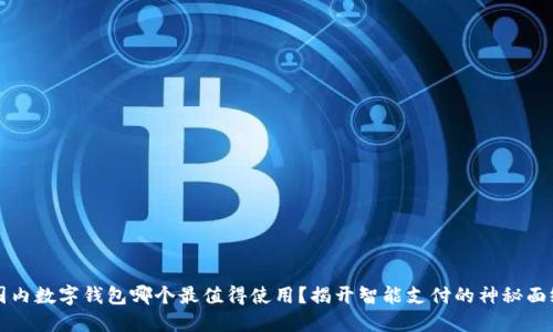 国内数字钱包哪个最值得使用？揭开智能支付的神秘面纱