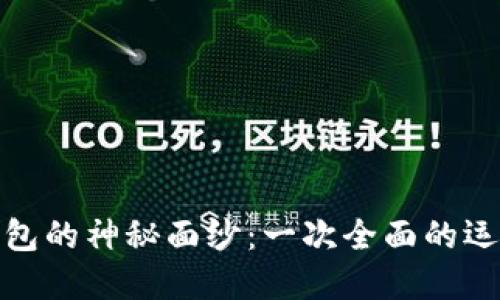 揭开数字货币钱包的神秘面纱：一次全面的运作模式探秘之旅