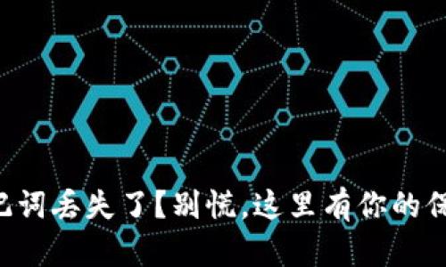 钱包助记词丢失了?别慌,这里有你的保障之路!