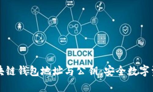 深入了解区块链钱包地址与公钥：安全数字资产的护航者