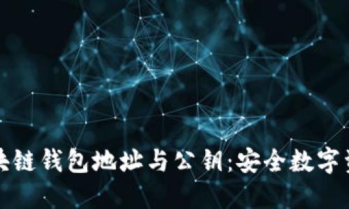 深入了解区块链钱包地址与公钥：安全数字资产的护航者
