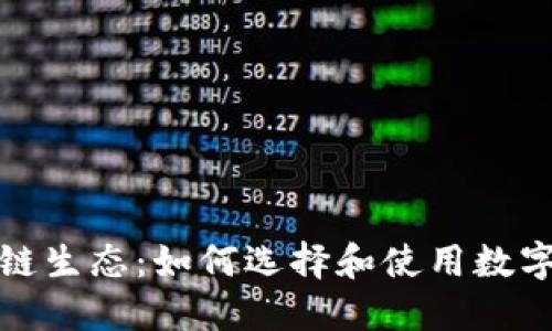探索区块链生态：如何选择和使用数字资产钱包