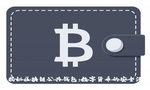 揭秘区块链公共钱包：数字货币的安全港